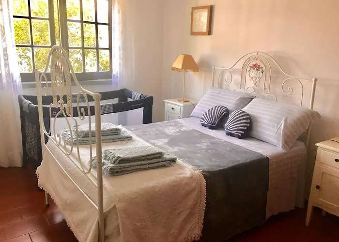 Silver Coast House *